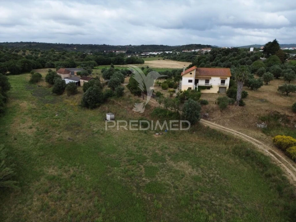 Quinta T6 para Venda em Alcanena e Vila Moreira Foto 6