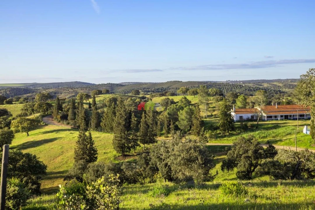Quinta T4 para Venda em Serpa (Salvador e Santa Maria) Foto 26