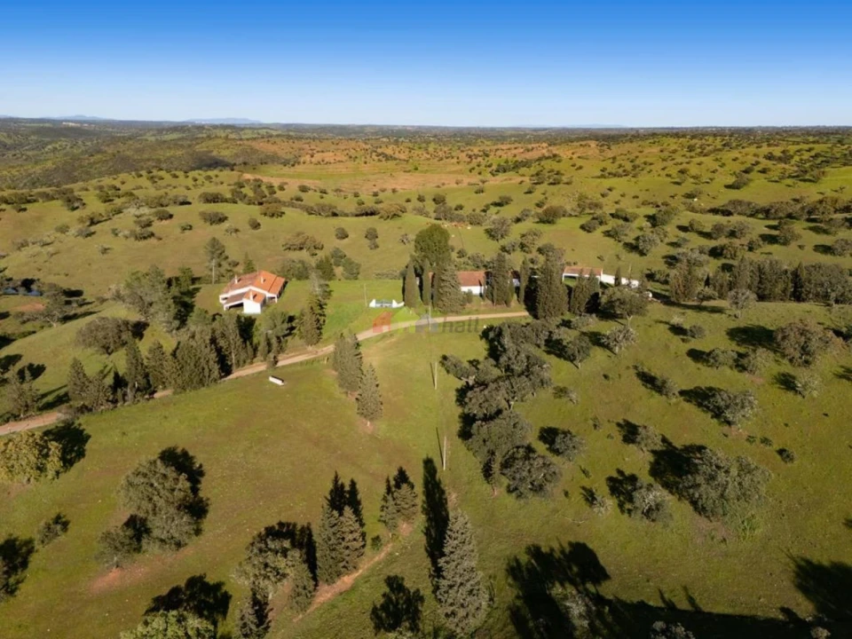 Quinta T4 para Venda em Serpa (Salvador e Santa Maria) Foto 5
