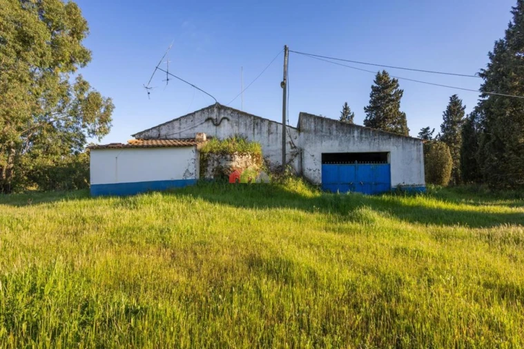 Quinta T4 para Venda em Serpa (Salvador e Santa Maria) Foto 21