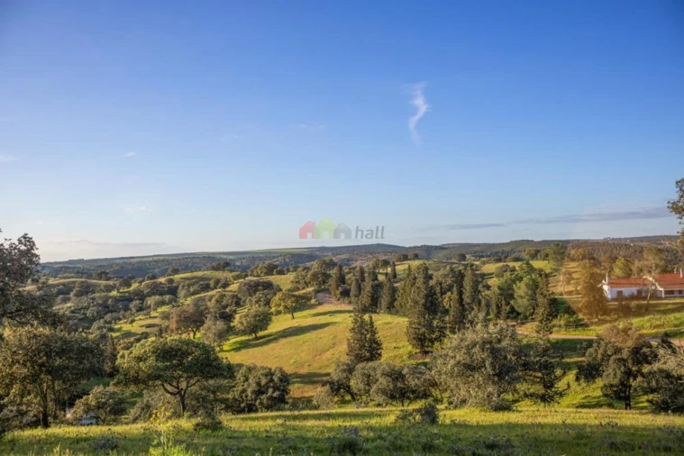 Quinta T4 para Venda em Serpa (Salvador e Santa Maria) Foto 28