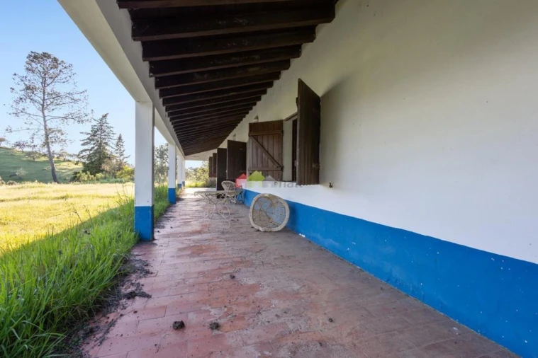 Quinta T4 para Venda em Serpa (Salvador e Santa Maria) Foto 19