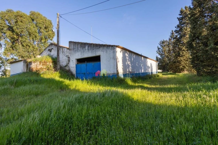 Quinta T4 para Venda em Serpa (Salvador e Santa Maria) Foto 22