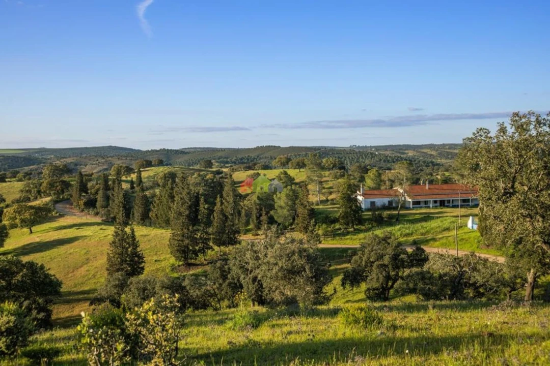 Quinta T4 para Venda em Serpa (Salvador e Santa Maria) Foto 27