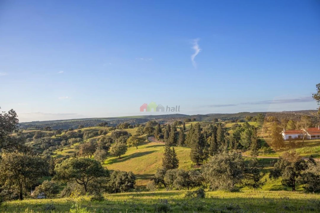 Quinta T4 para Venda em Serpa (Salvador e Santa Maria) Foto 28