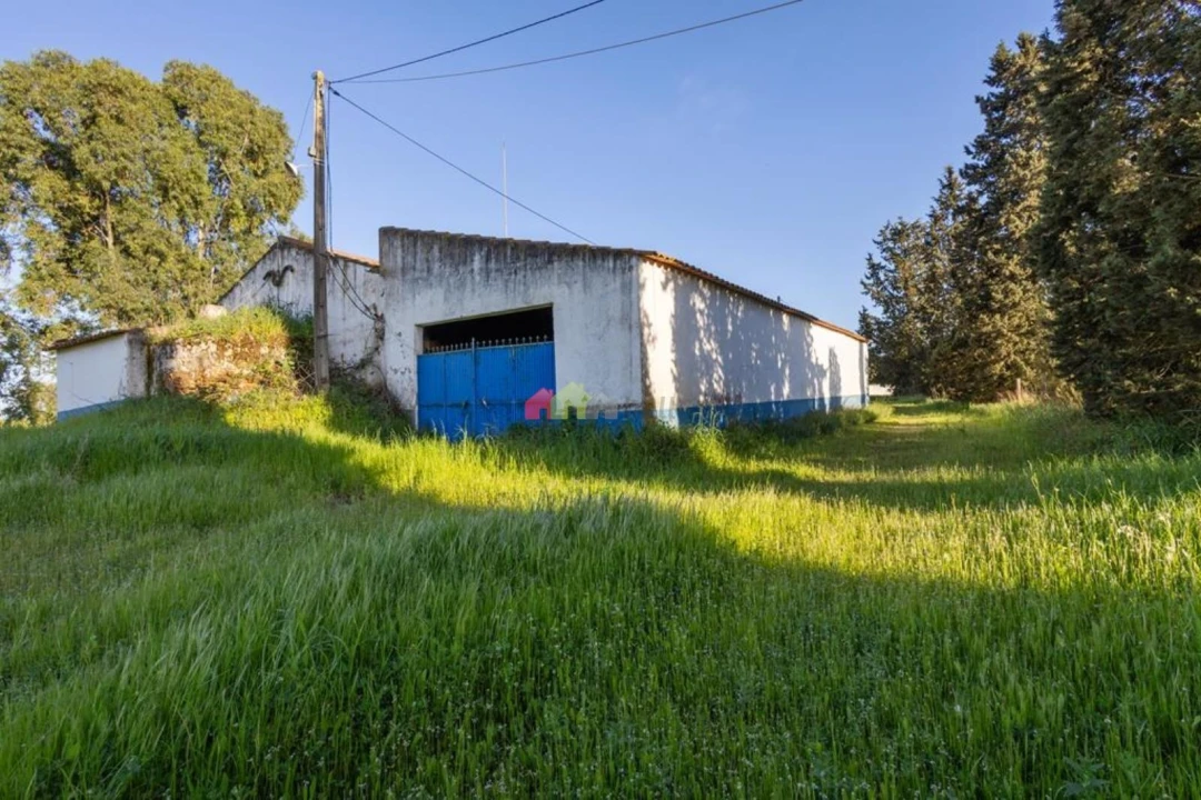 Quinta T4 para Venda em Serpa (Salvador e Santa Maria) Foto 22