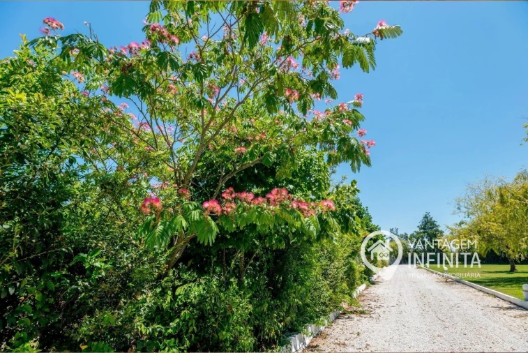 Quinta T4 para Venda em Poceirão e Marateca Foto 14