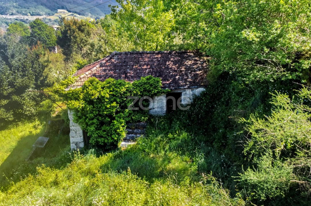 Terreno para Venda em Vila Chã do Marão Foto 25