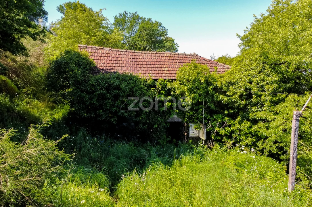 Terreno para Venda em Vila Chã do Marão Foto 28