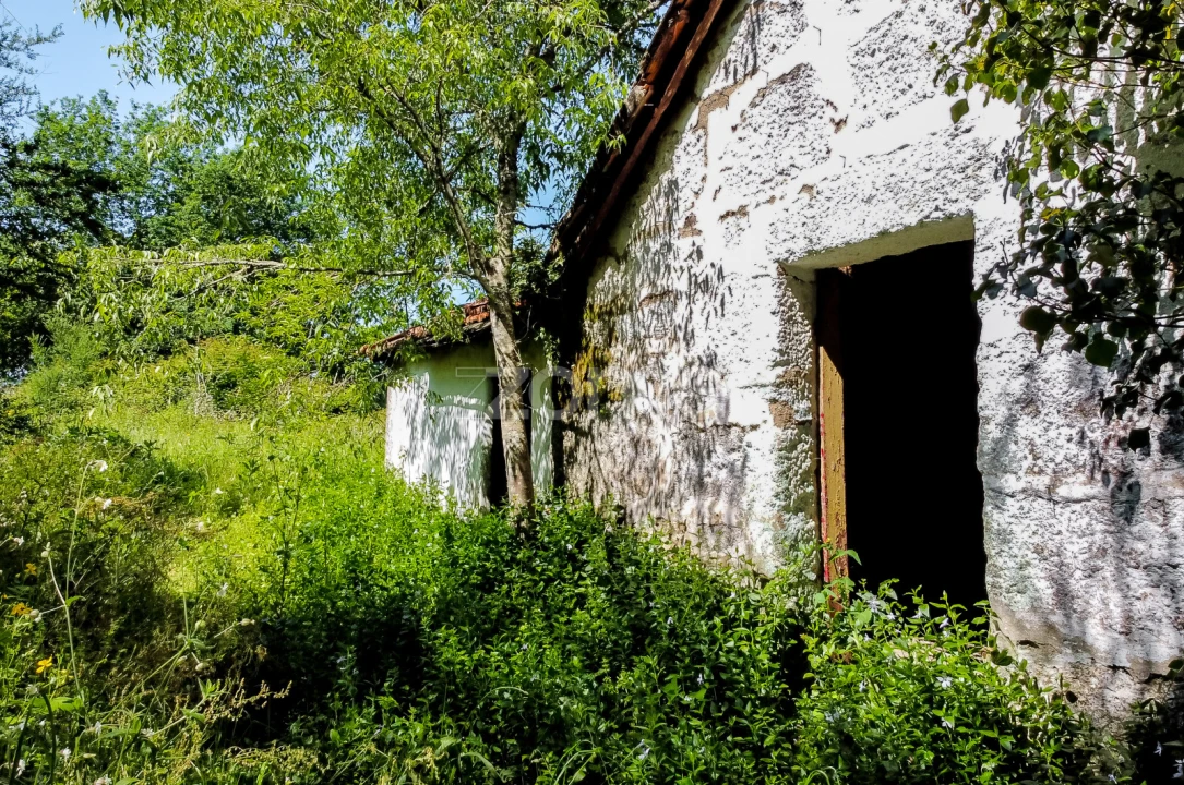 Terreno para Venda em Vila Chã do Marão Foto 31