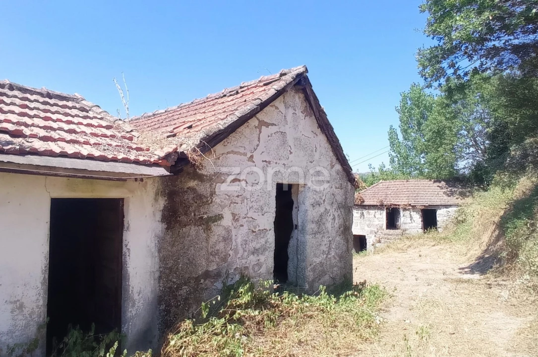 Terreno para Venda em Vila Chã do Marão Foto 29