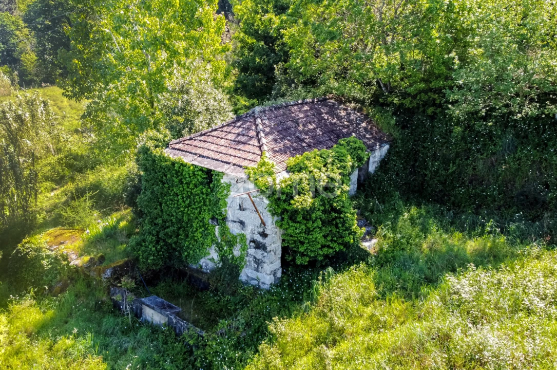 Terreno para Venda em Vila Chã do Marão Foto 3