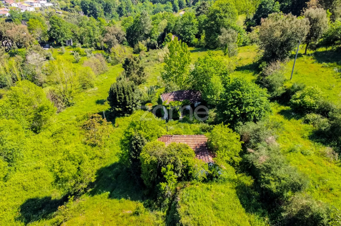 Terreno para Venda em Vila Chã do Marão Foto 6