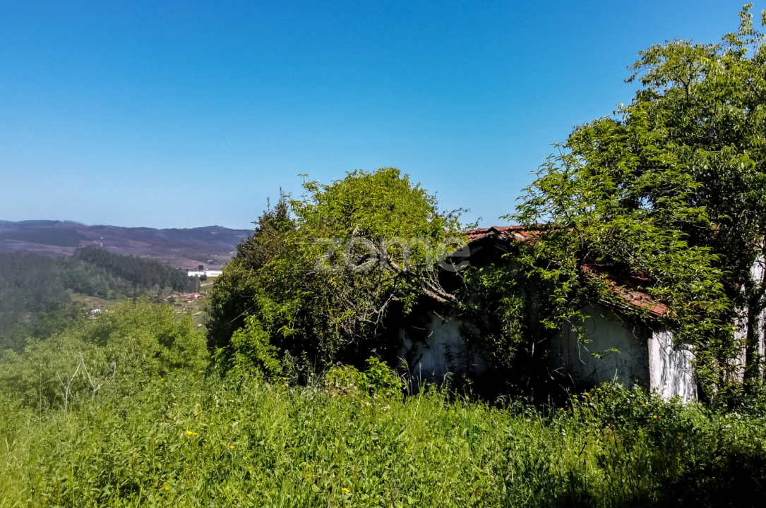 Terreno para Venda em Vila Chã do Marão Foto 30