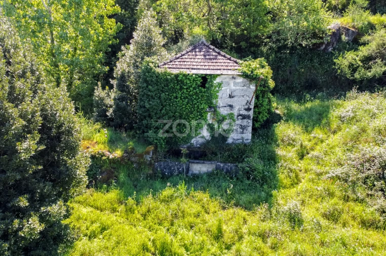 Terreno para Venda em Vila Chã do Marão Foto 11