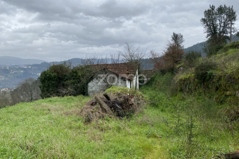 Terreno para Venda em Vila Chã do Marão Foto 20