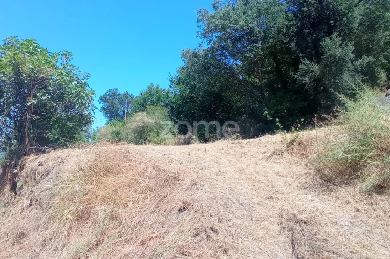 Terreno para Venda em Vila Chã do Marão Foto 36