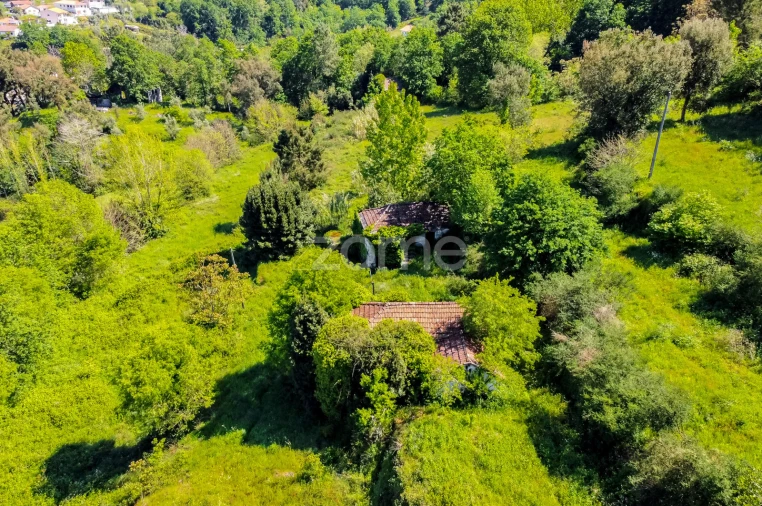 Terreno para Venda em Vila Chã do Marão Foto 6