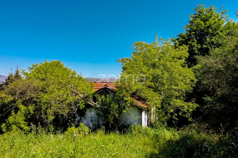 Terreno para Venda em Vila Chã do Marão Foto 9