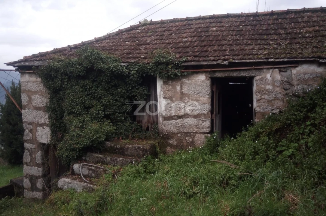 Terreno para Venda em Vila Chã do Marão Foto 13