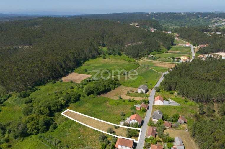 Terreno para Venda em Santiago e São Simão de Litém e Albergaria dos Doze Foto 8