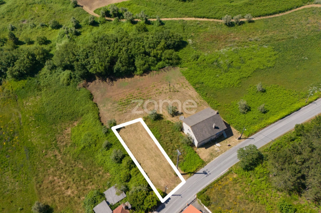 Terreno para Venda em Santiago e São Simão de Litém e Albergaria dos Doze Foto 6