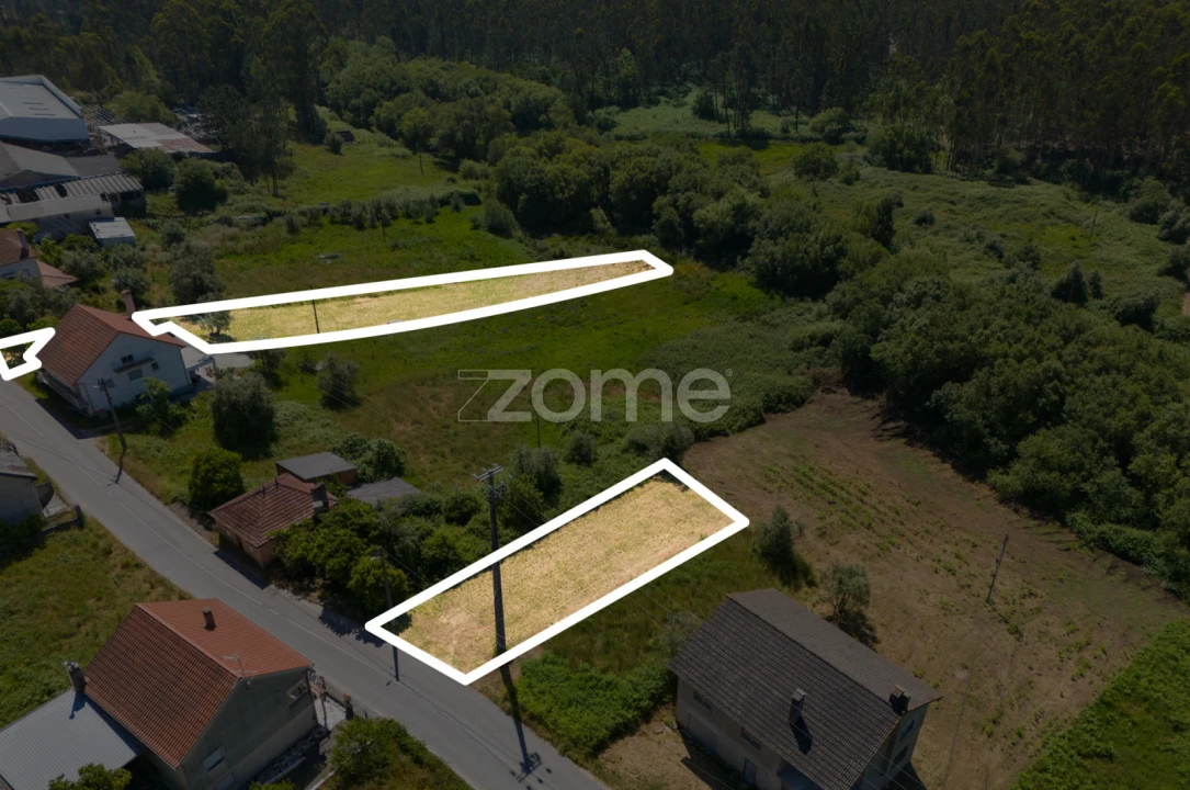 Terreno para Venda em Santiago e São Simão de Litém e Albergaria dos Doze Foto 4