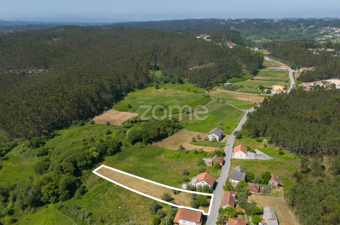 Terreno para Venda em Santiago e São Simão de Litém e Albergaria dos Doze Foto 8