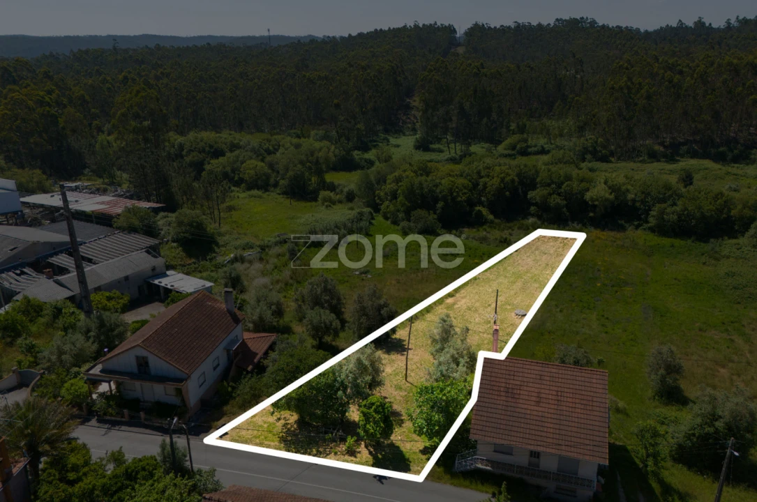 Terreno para Venda em Santiago e São Simão de Litém e Albergaria dos Doze Foto 9