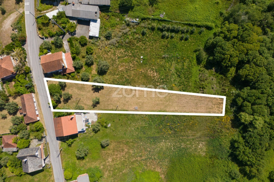 Terreno para Venda em Santiago e São Simão de Litém e Albergaria dos Doze Foto 10