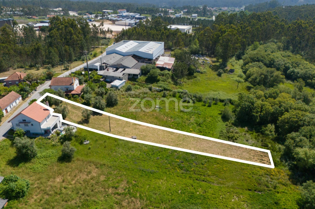 Terreno para Venda em Santiago e São Simão de Litém e Albergaria dos Doze Foto 15