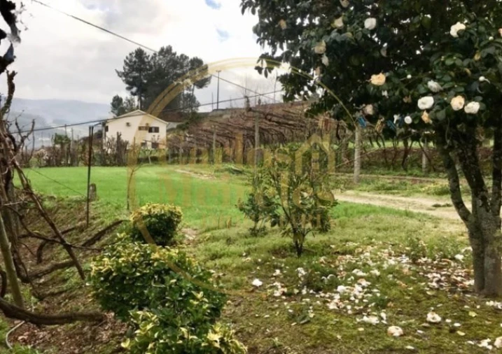 Quinta T3 para Venda em Padronelo Foto 11