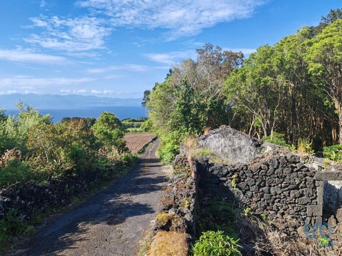 Moradia T2 para Venda em Ribeirinha Foto 2