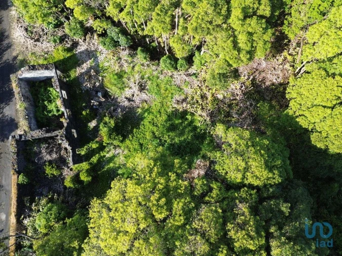 Moradia T2 para Venda em Ribeirinha Foto 10