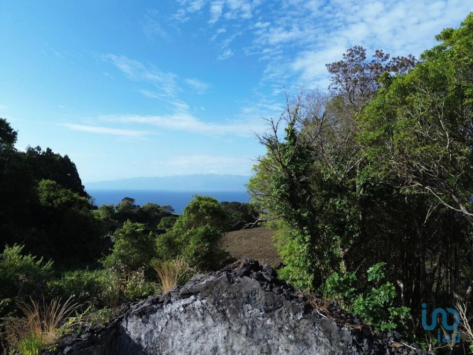 Moradia T2 para Venda em Ribeirinha Foto 5