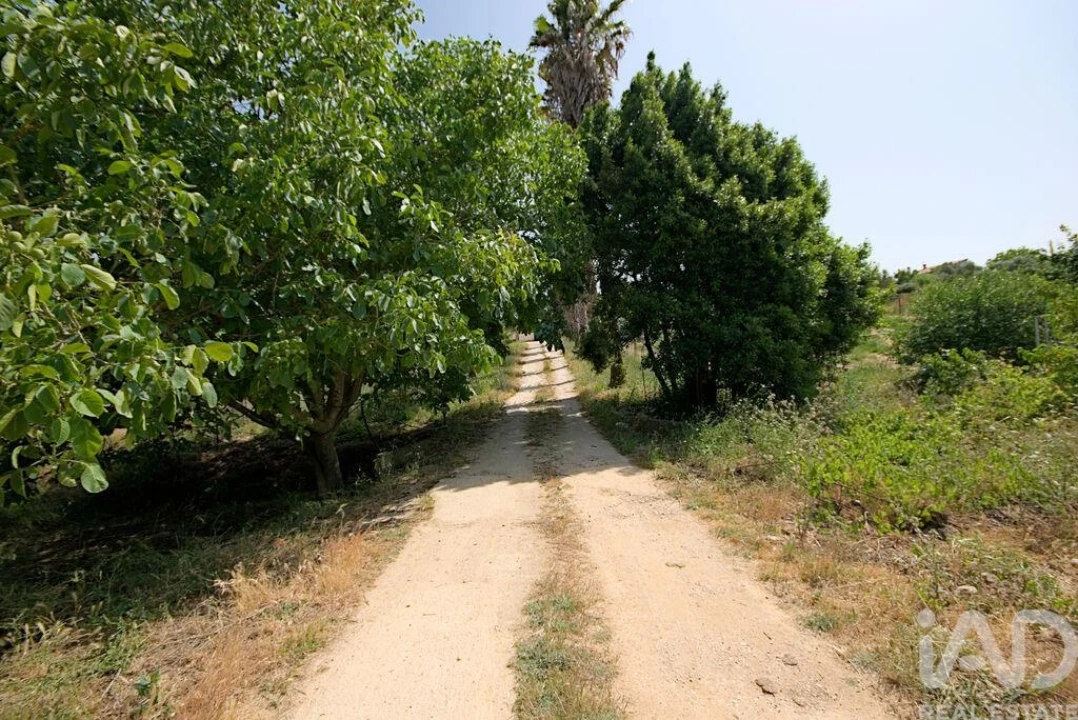 Moradia T4 para Venda em Cartaxo e Vale da Pinta Foto 21