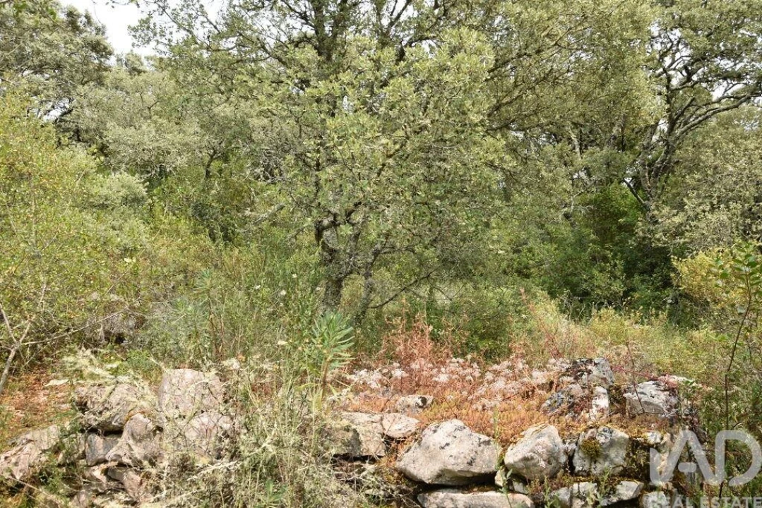 Terreno para Venda em Chãos Foto 15