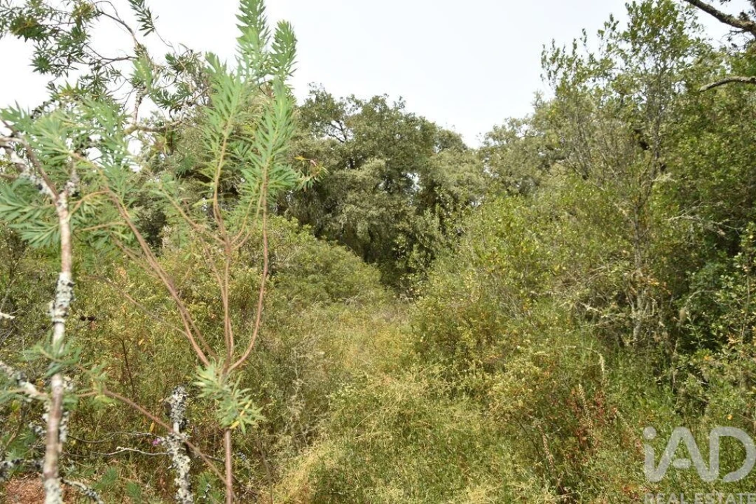 Terreno para Venda em Chãos Foto 27