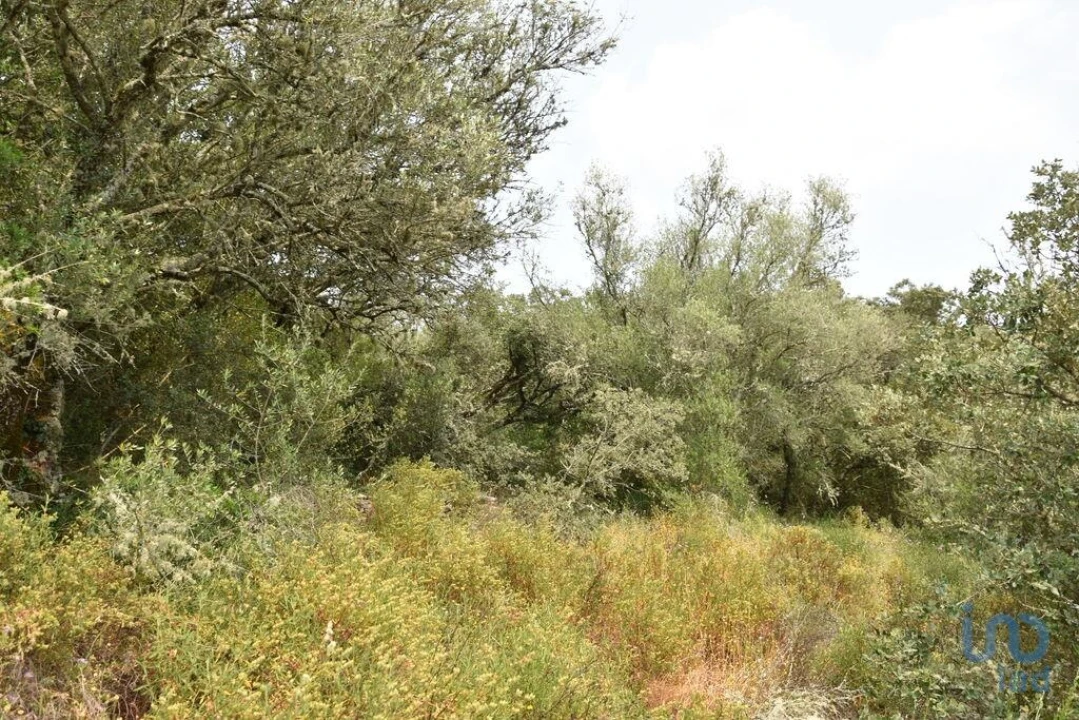Terreno para Venda em Chãos Foto 7