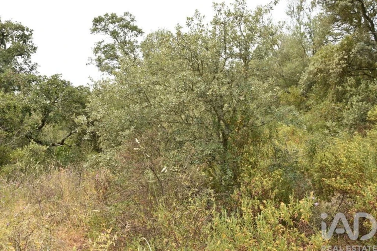 Terreno para Venda em Chãos Foto 22