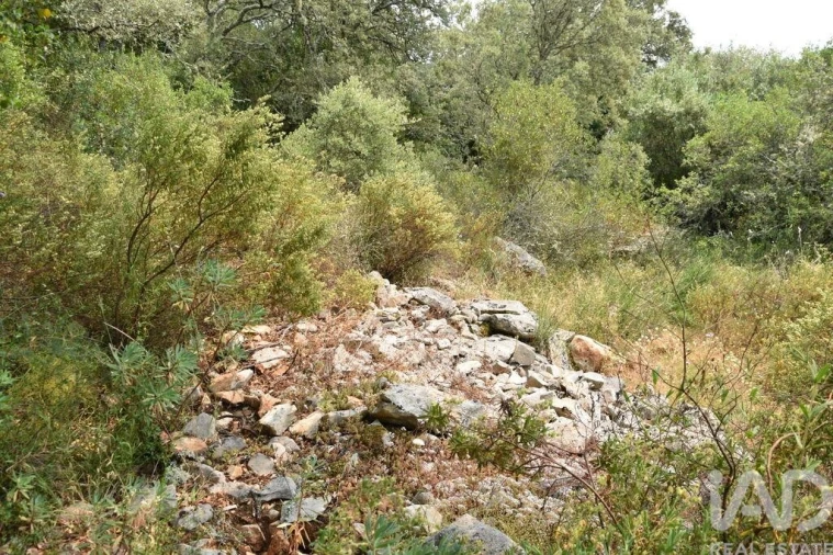 Terreno para Venda em Chãos Foto 24