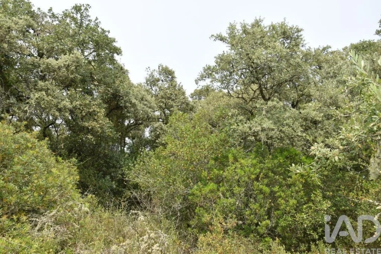 Terreno para Venda em Chãos Foto 26