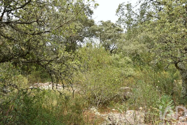 Terreno para Venda em Chãos Foto 16