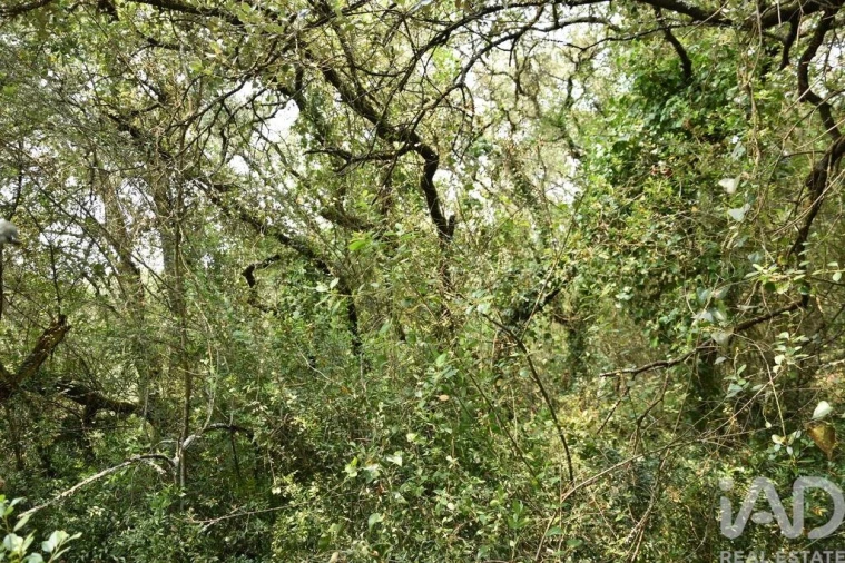 Terreno para Venda em Chãos Foto 19