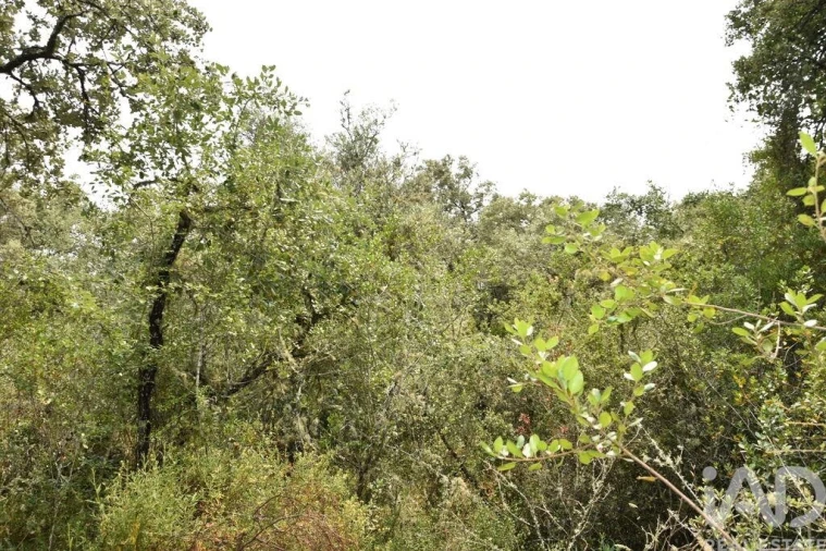 Terreno para Venda em Chãos Foto 28