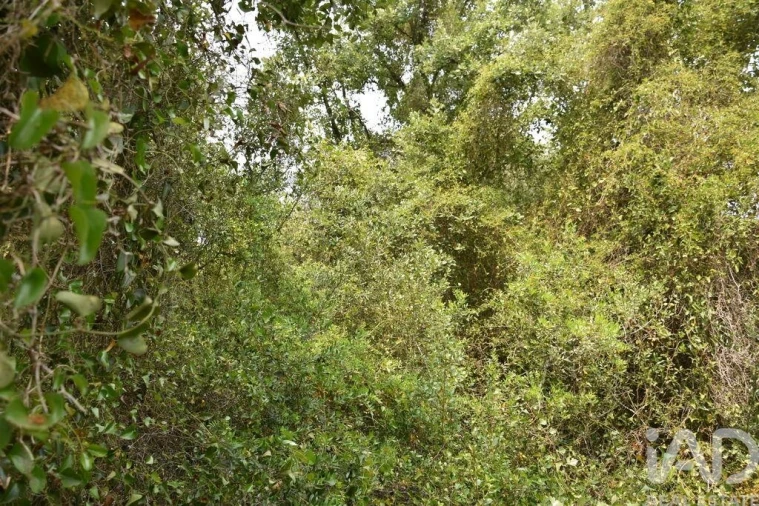 Terreno para Venda em Chãos Foto 20