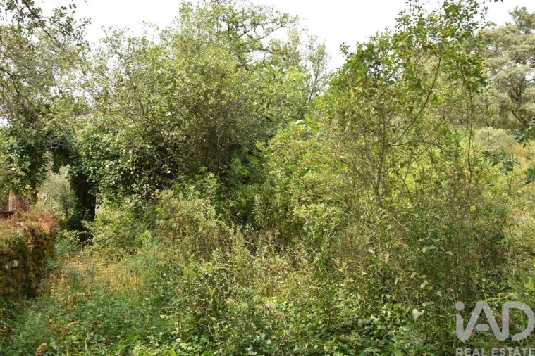 Terreno para Venda em Chãos Foto 17