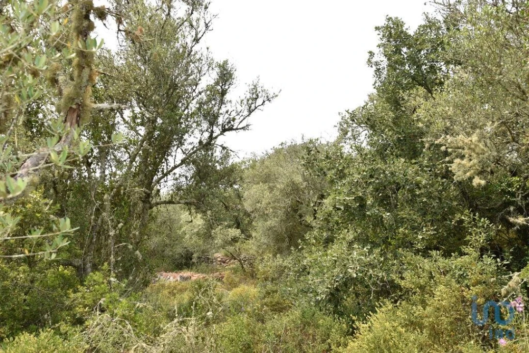 Terreno para Venda em Chãos Foto 6
