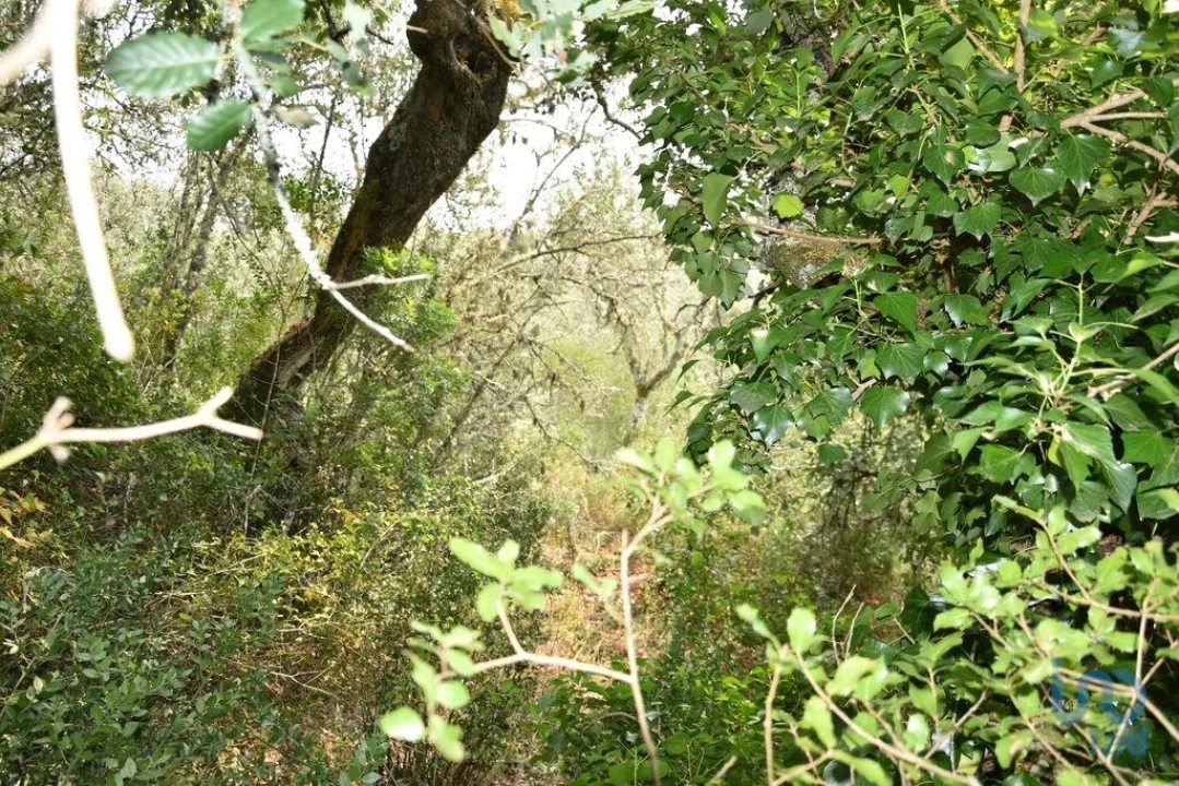 Terreno para Venda em Chãos Foto 5