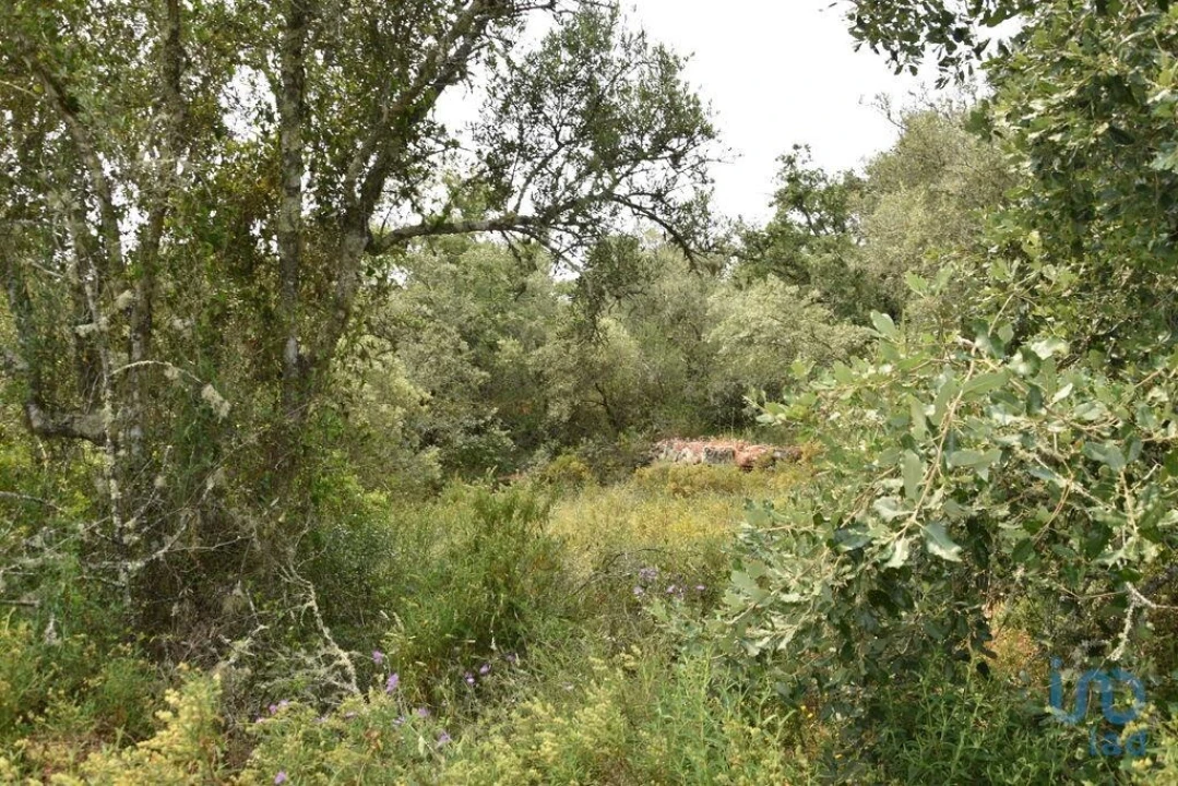 Terreno para Venda em Chãos Foto 1